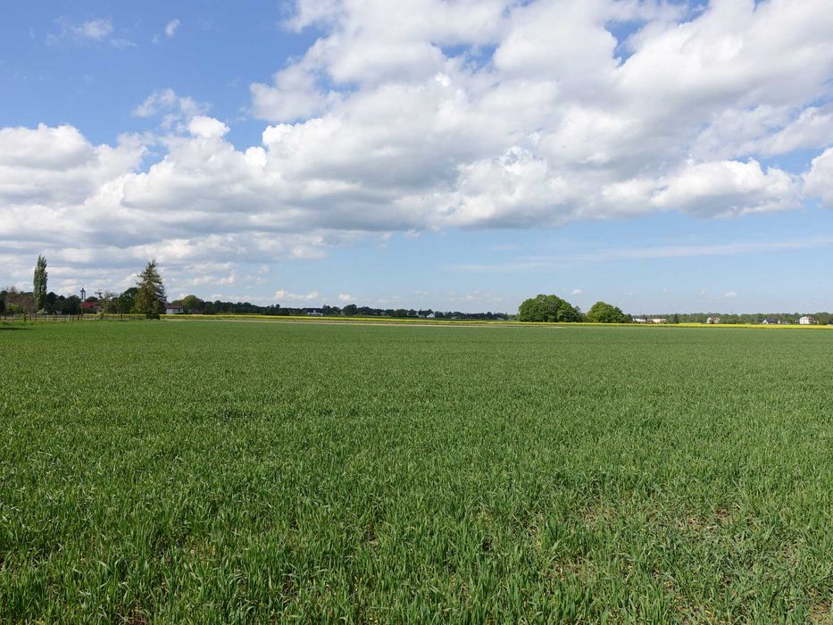 Skoczów Pruchna 1,15ha z prawem zabudowy idealna pod stadnine koni