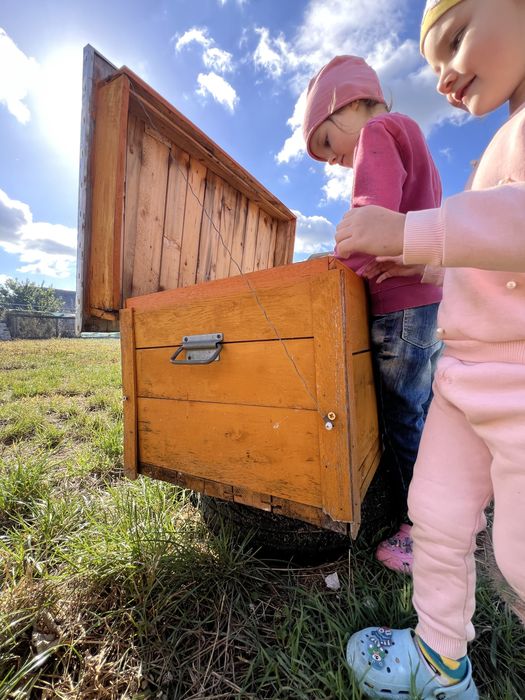 Вулики дадан на 22 рамки як нові