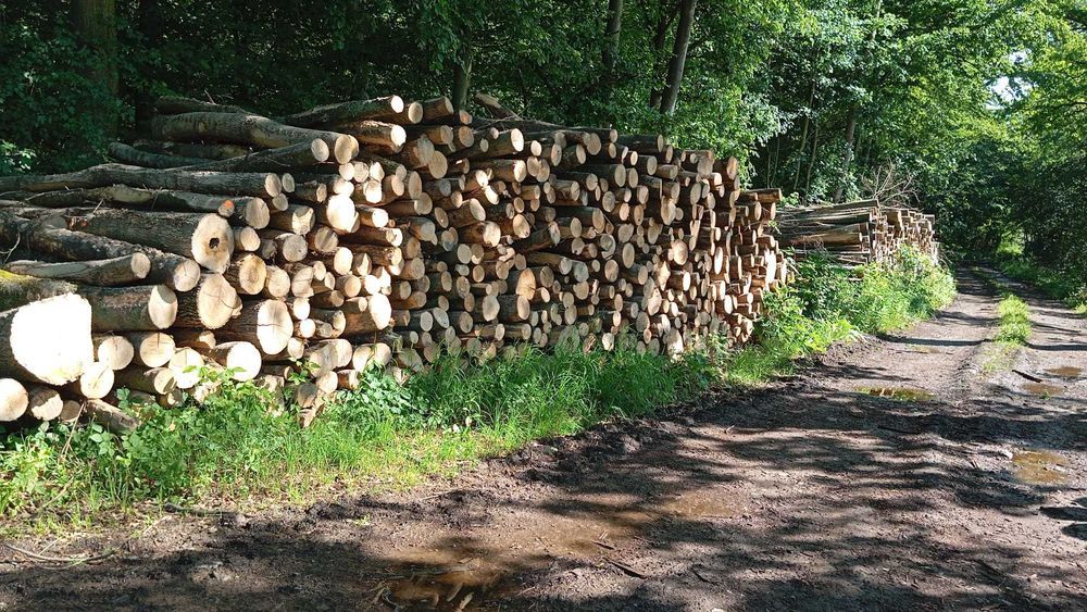 drewno kominkowe  kłody 2,5    jesion  buk dąb DOSTAWA