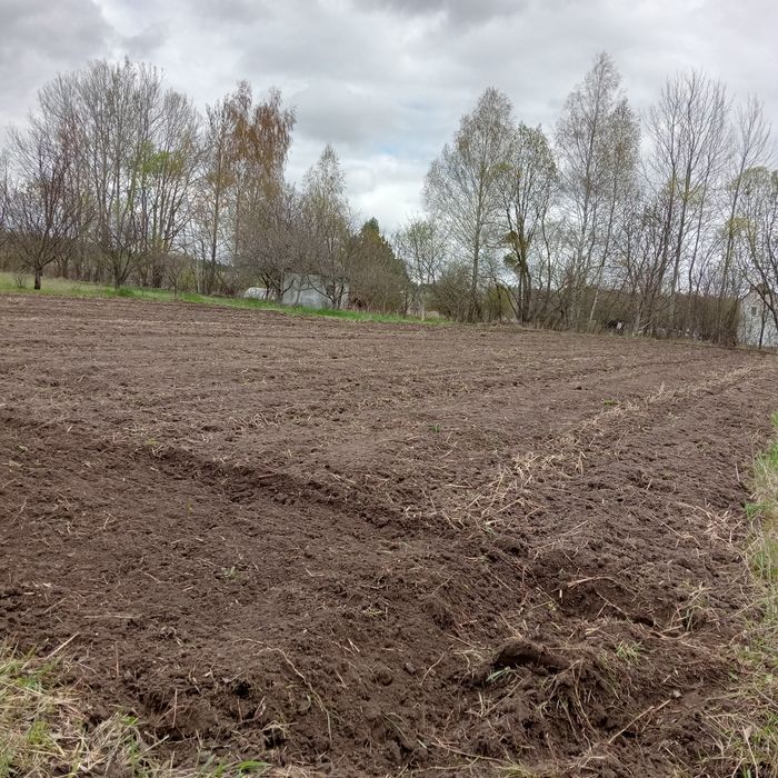 Гарний участок на Смоківці