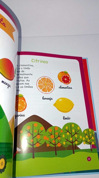 De Onde Vêm os Alimentos