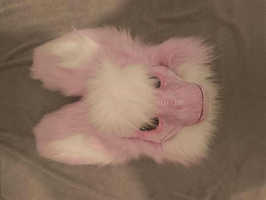 Dino mask furry fursuit
