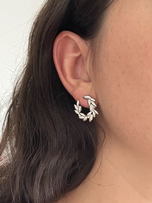 Brincos de aço inoxidavel