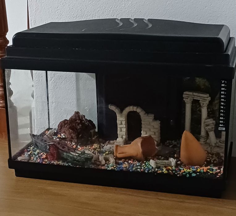 Aquário 60L + peças