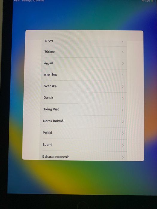 iPad Pro (9,7 polegadas)