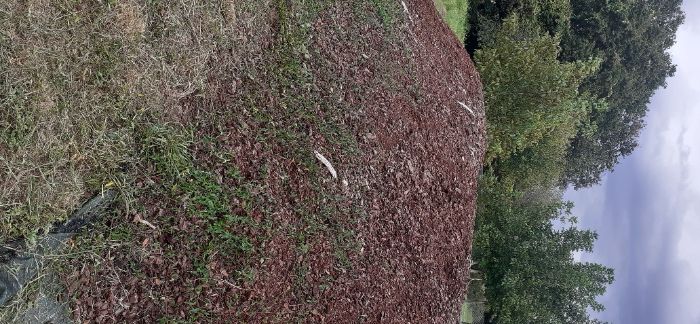 Vendo casca de pinheiro 25 eur por m3.