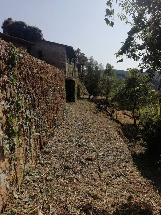 Limpeza de terrenos, matos jardins e outros afins