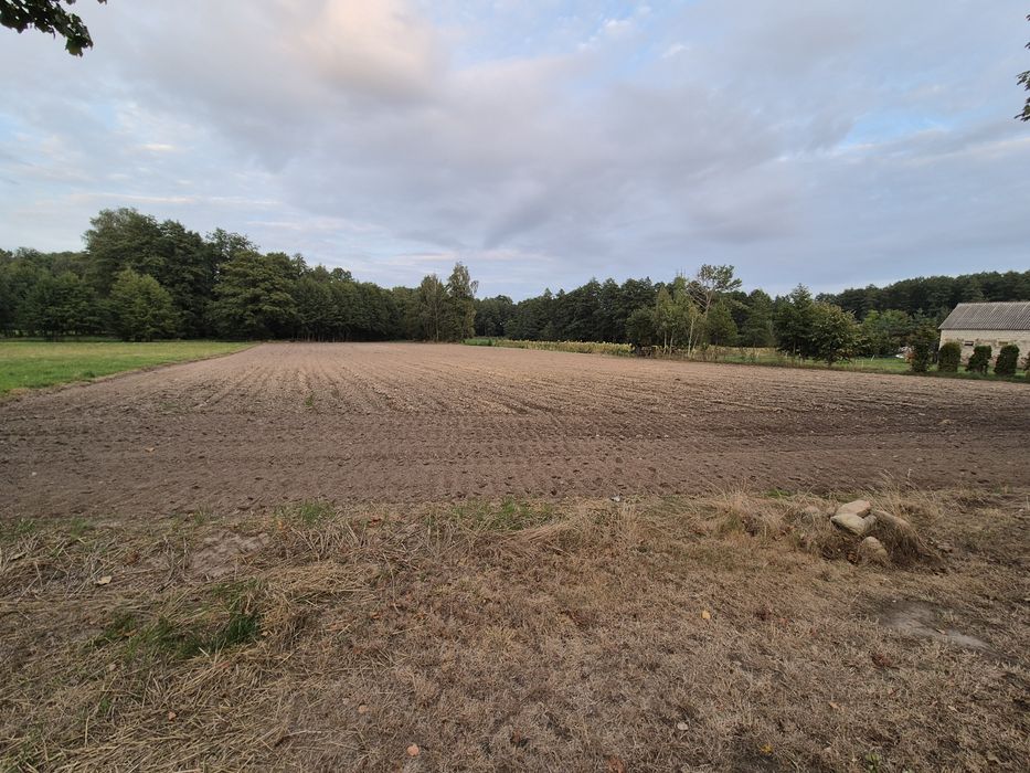 Działki z możliwością zabudowy - Widok 4