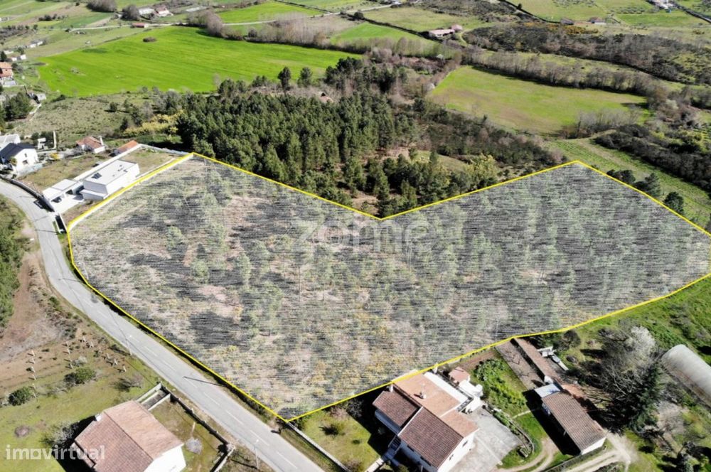 Terreno Samaiões - Urbano