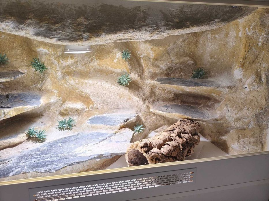 Terrarium naturalne dla agamy, gekona z pełnym wyposażeniem