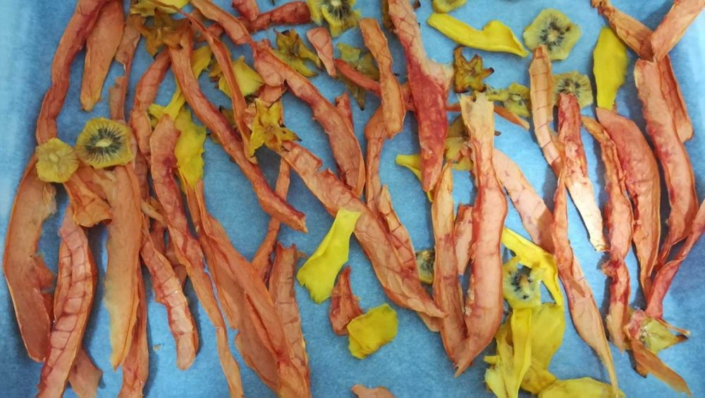 Desidratador de alimentos