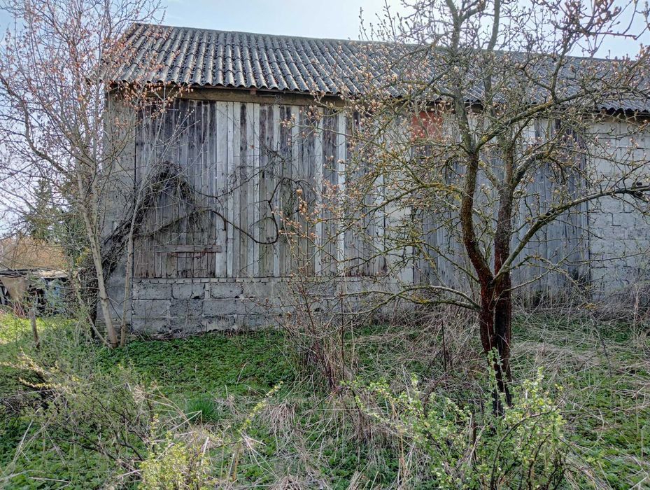 Działka budowlano-rolna 48 ar z domem i stodołą - Łukowa (gm. Chęciny) - Widok 4