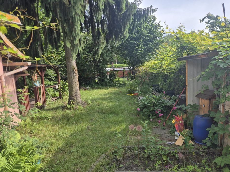 Sprzedam ogródek działkowy "Skłodowskiej Curie " Ruda Śląska - Widok 2