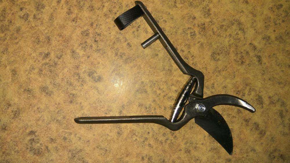 Tesoura da vindima Carpa, nova