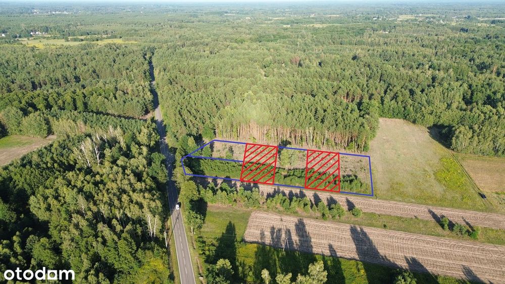 Wyjątkowe działki z prywatnym wejściem do lasu. Decyzja o WZ. - Widok 4