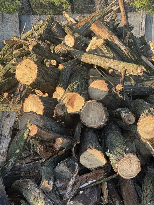 Дрова акации, акация