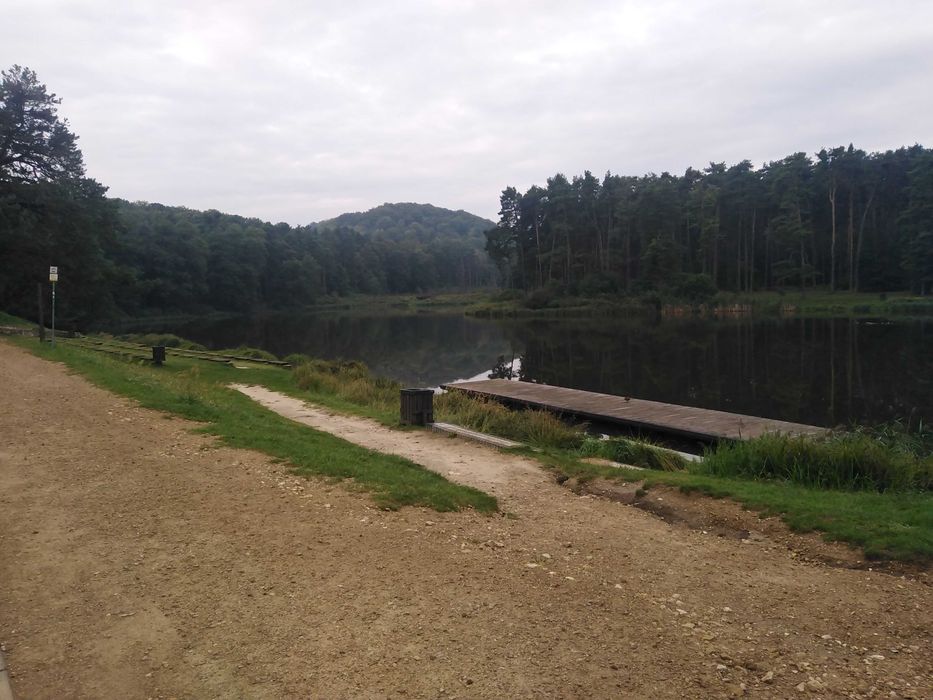 Działka Złoty Potok - Widok 2