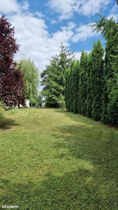 Działka budowlana 3179 m² Wilczków, niedaleko Wrocławia przy lesie - Więcej