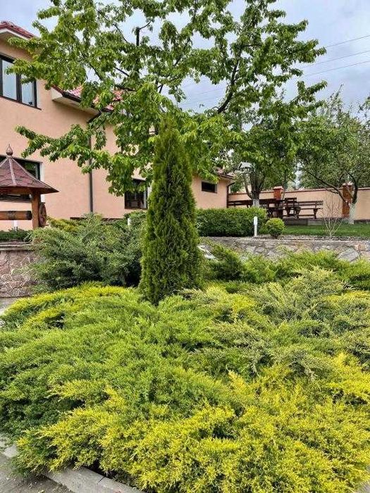 54  Будинок теплий  басейн більярд сауна до 8 осіб в 30 км від Київа