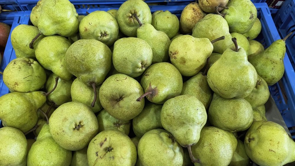 Caixas de peras deliciosas e soculentas para entregas ao domicilio
