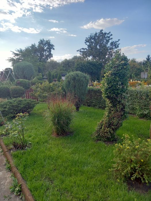 Sprzedam działkę ROD