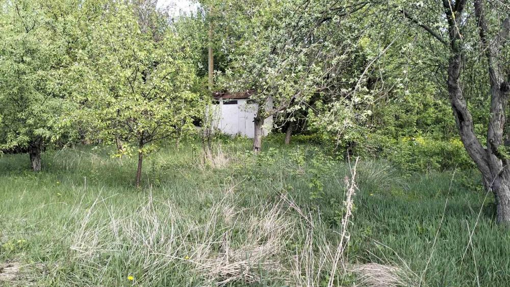 Продам реальний дачний уч-к, Передмістя, Миколаївка(Приват+кадастр)