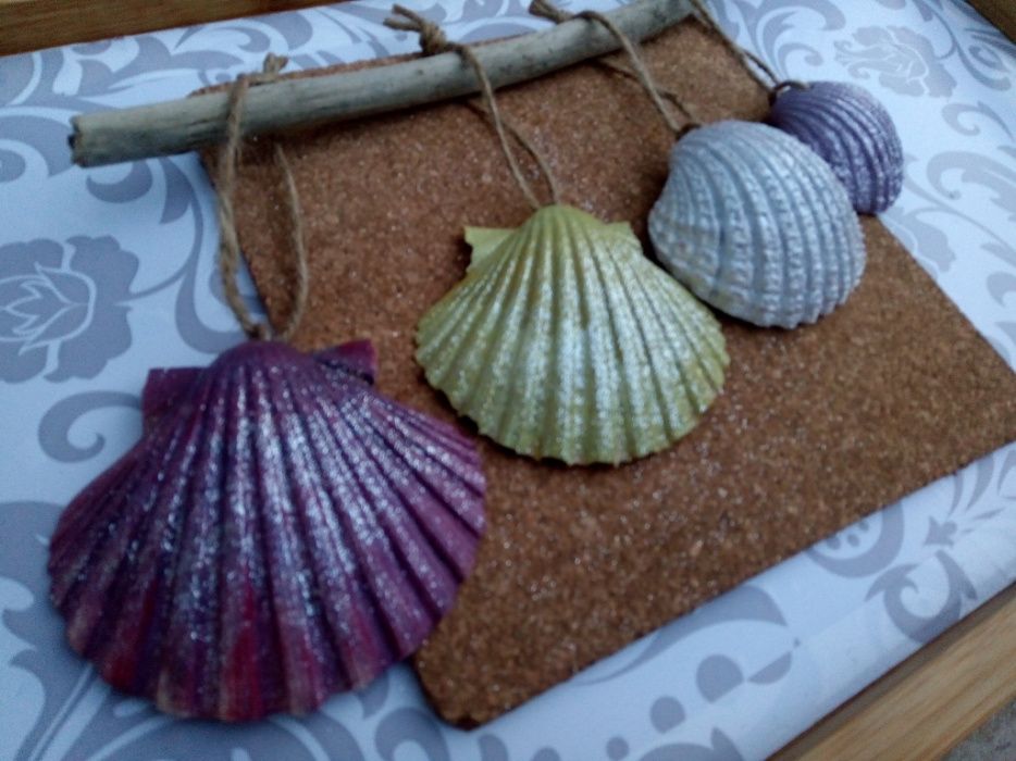 Conchas pintadas