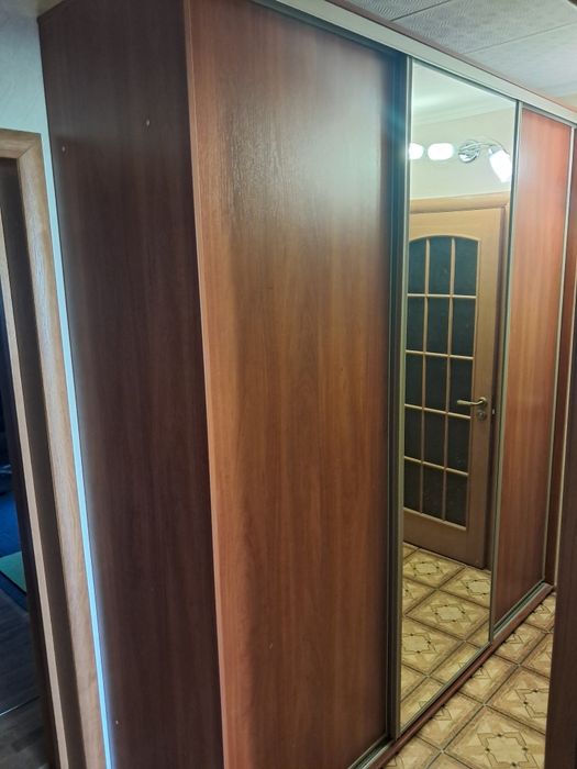 Шафа-купе звичайна