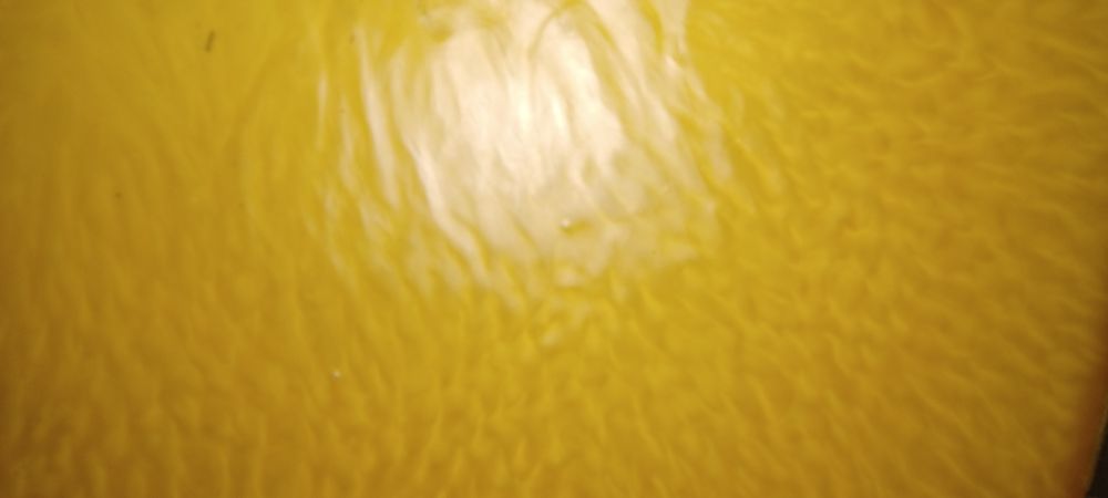 Vendo cera de abelha em broa, pura da colmeia