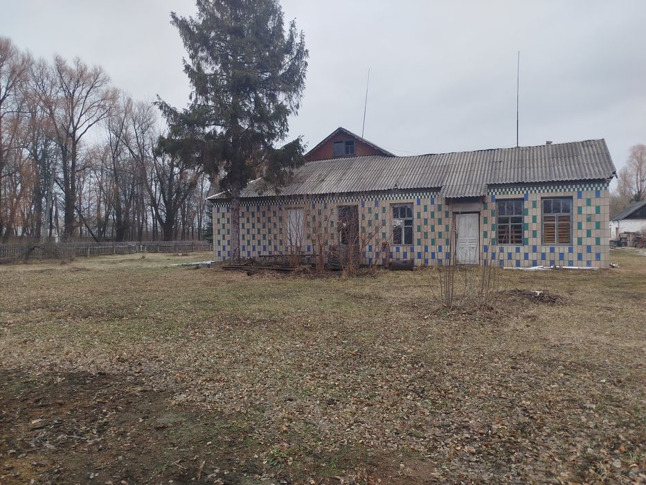 Нежитлове приміщення, вільне призначення, с. Малинівка, Малин