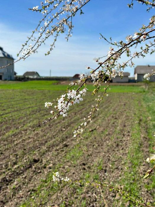 Продаж топової ділянки с.Братківці Тисменицького р-ну_ N