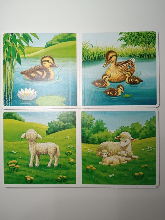 Розвиваюча настільна гра.Яка тварина тобі підходить від Ravensburger