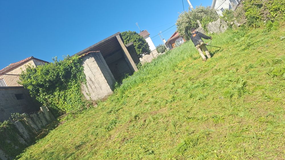 Limpezas jardim e terrenos