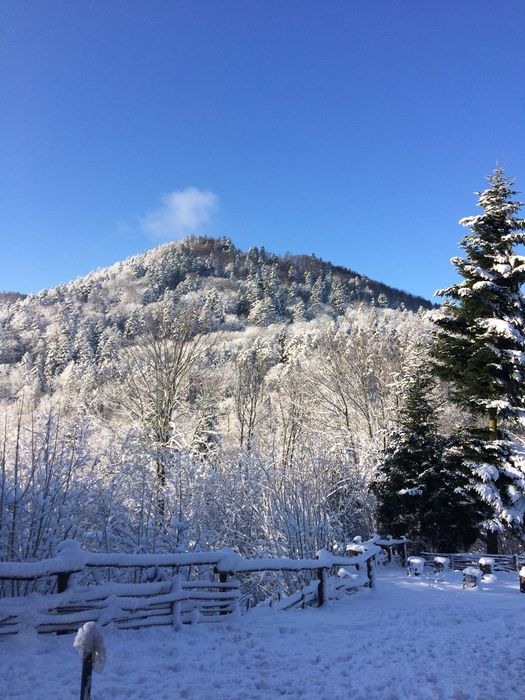 Chatka pod Świerkami