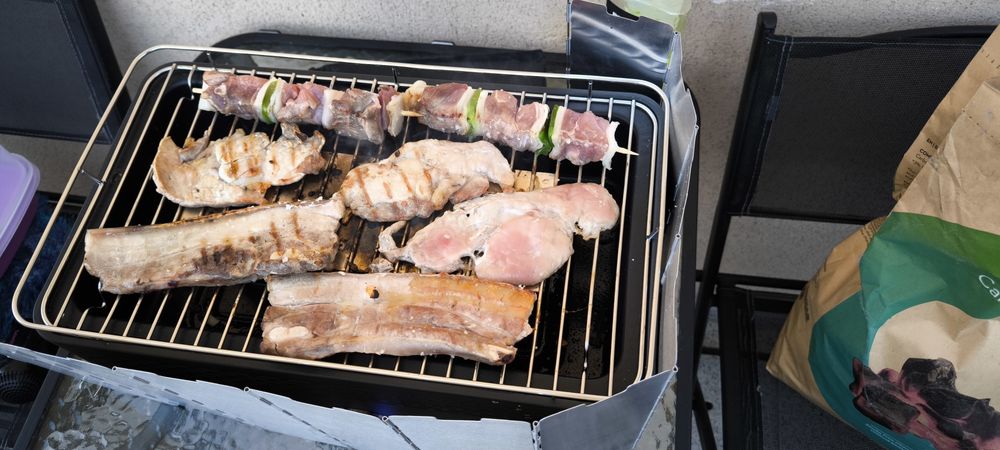 Aktive a Carvão – Sem Fumo – Como Novo!