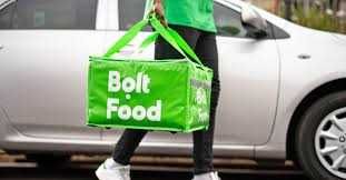 NEW Bolt food Bag for car