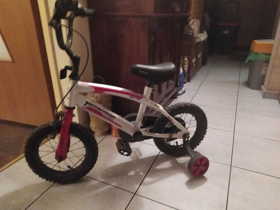 Rower dziecięcy 12" firmy 'TEAMRAIDER First Step'