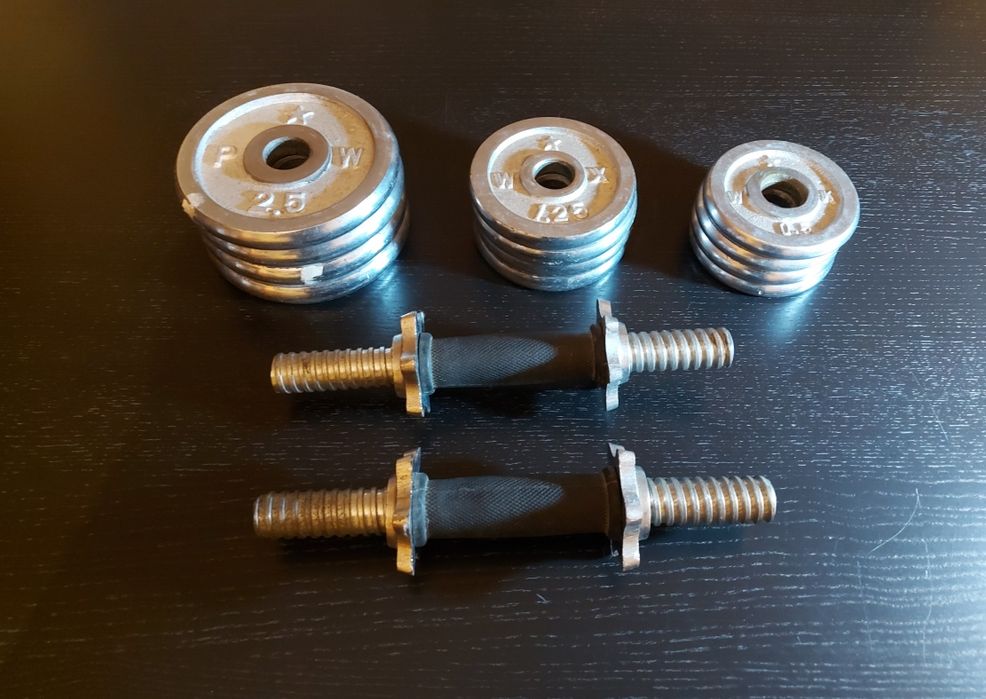 Conjunto de halteres