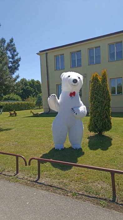 Wynajem duży biały miś 2,6m maskotka
