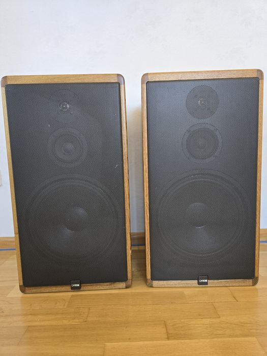 Акустика Canton ct1000