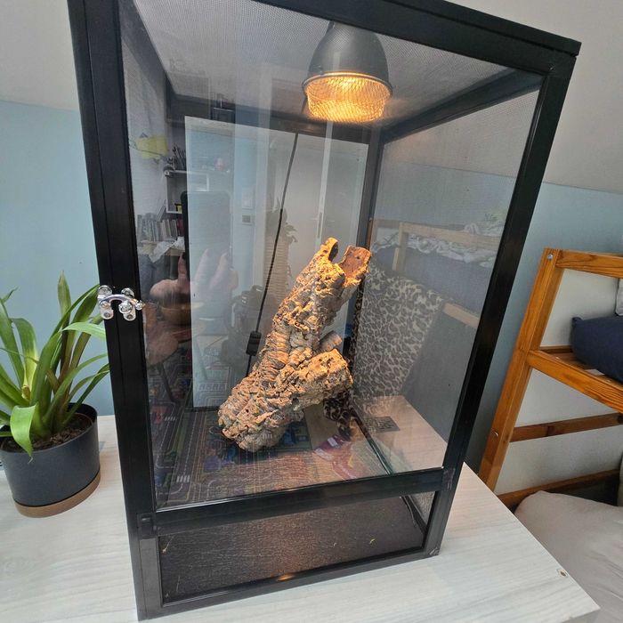 Terrarium dla szarańczy