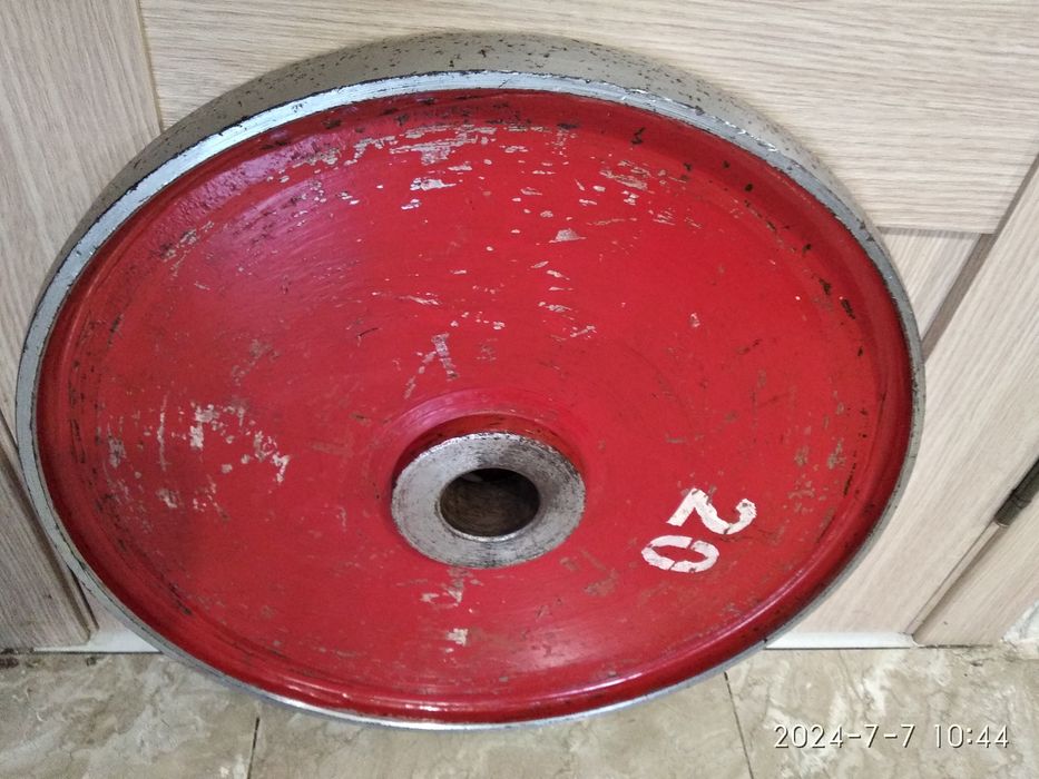 Диск непарний дрібний 50 ; 55 ; 25 ; 30 ммКругляк, п'ятак залізний