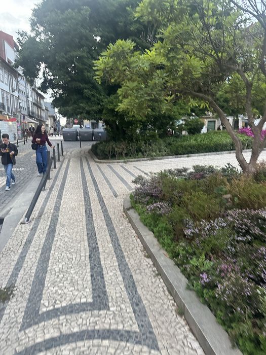 Apartamento Porto Centro Aliados Cedofeita Galerias