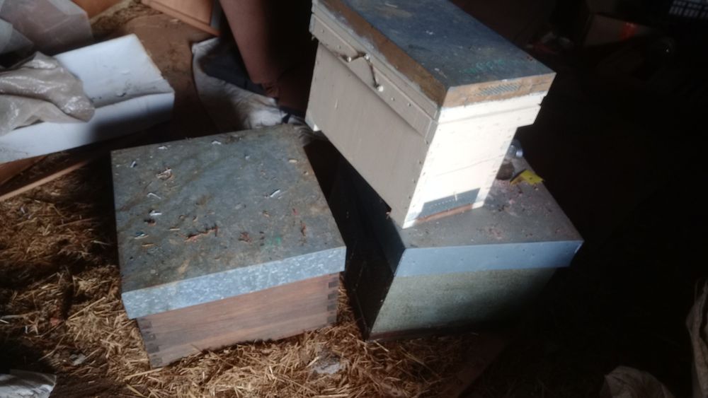 4 colmeias para criação de abelhas