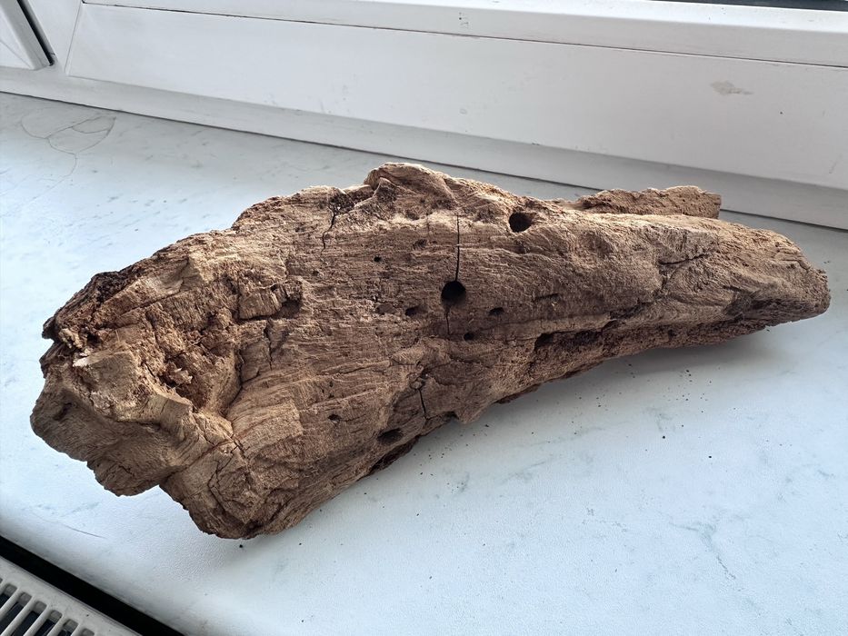 Korzeń do terrarium