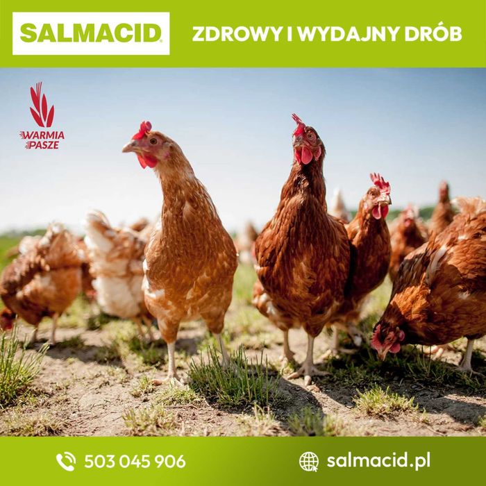 SALMACID zakwaszacz do wody paleta 528 kg (24x22 kg) DOSTAWA GRATIS
