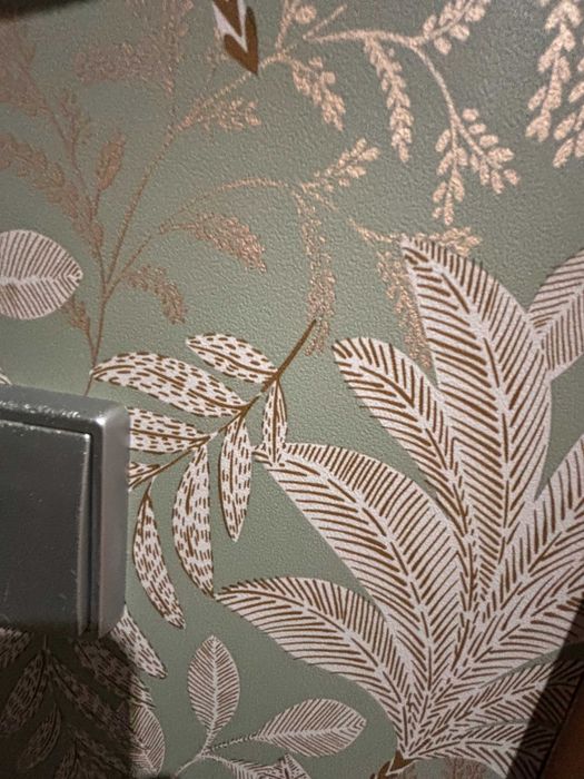 Remodelações, Pintura e Pladur