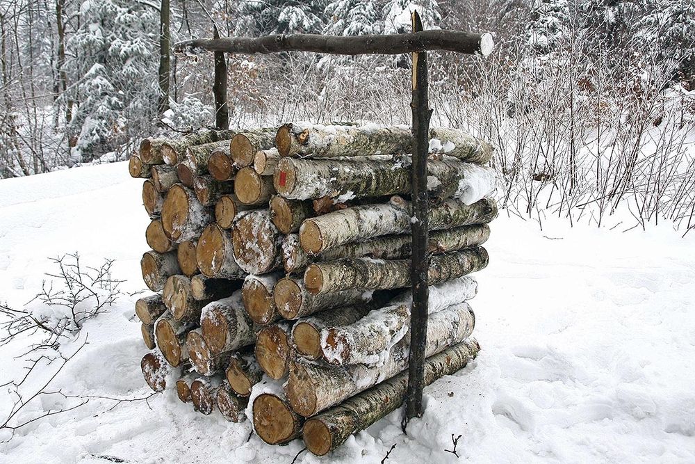 Sprzedam  drzewo brzoza za metr 300 zł