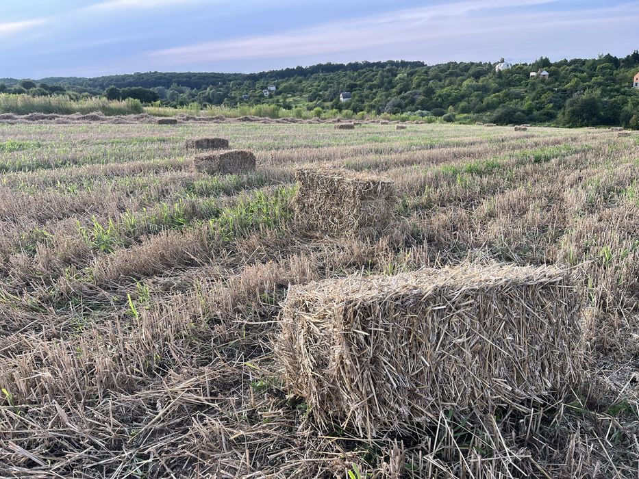 Солома тюки