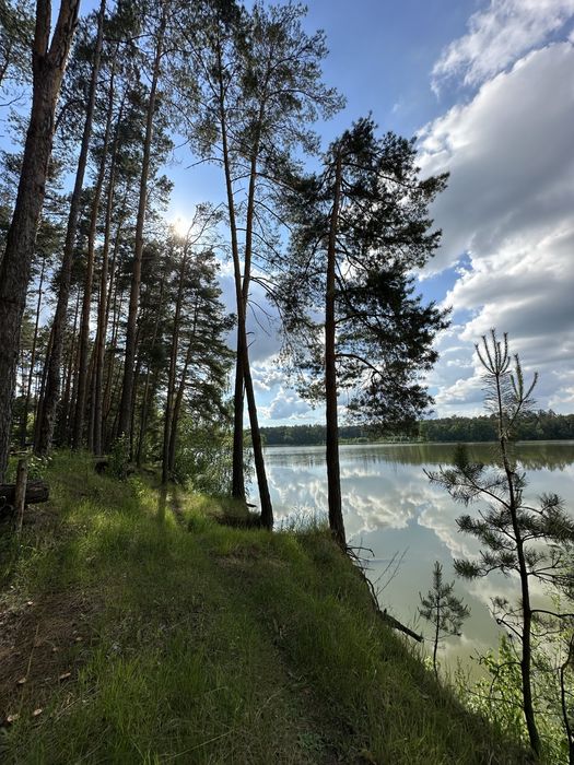 Продаж земельна ділянка 12 соток Бучанське водосховище (1 хвилина до берегу!)
